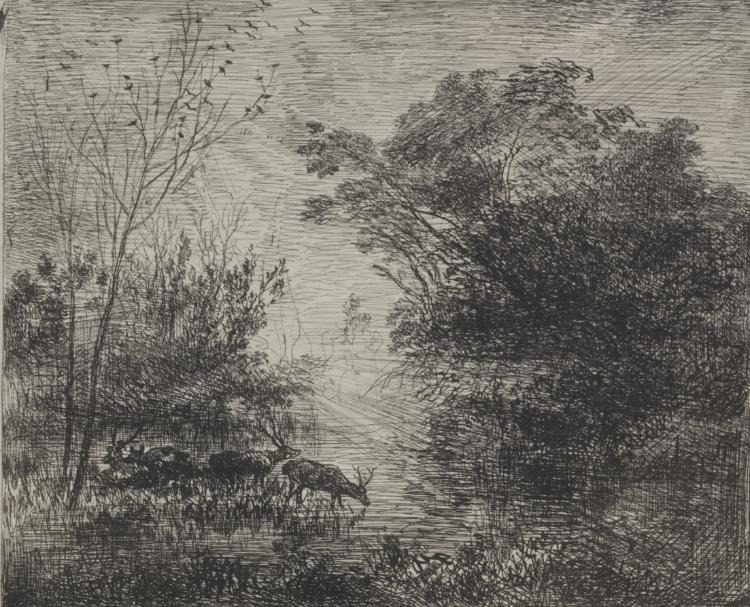 Stags by Charles François Daubigny (French, 1817–1878)