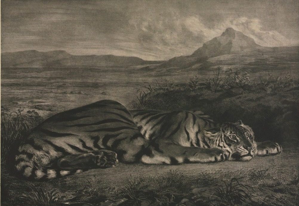 Tigre Royal by Eugène Delacroix (French, 1798–1863)