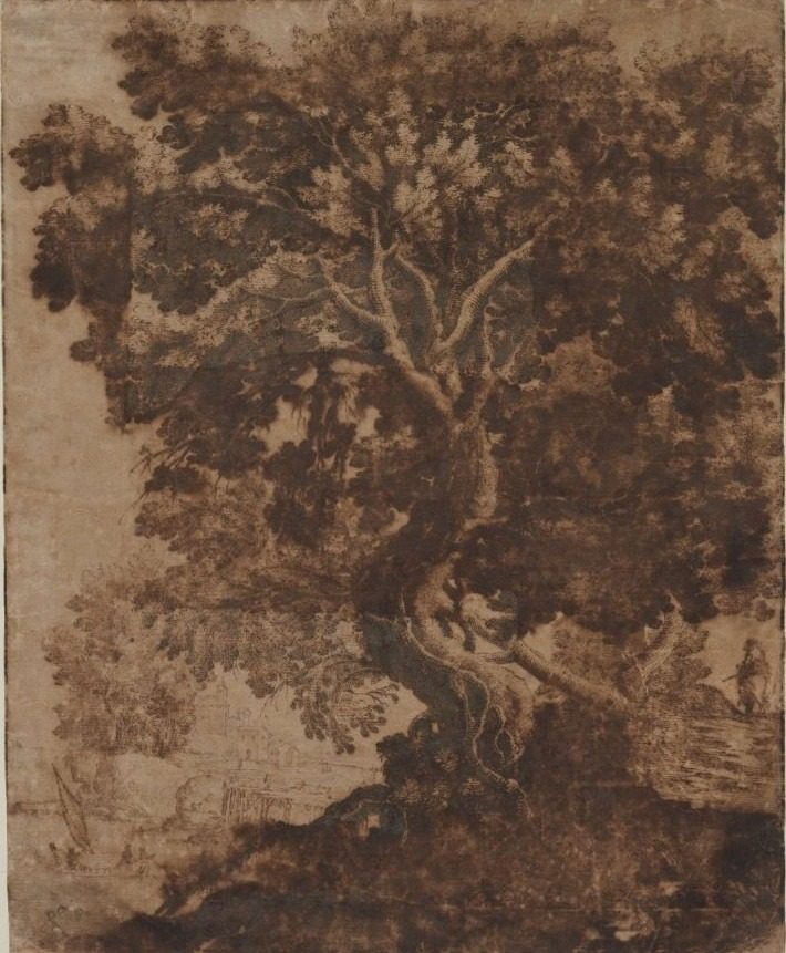 Tree in a Landscape by Ercole Bazicaluva (Italian, c. 1610–1661)
