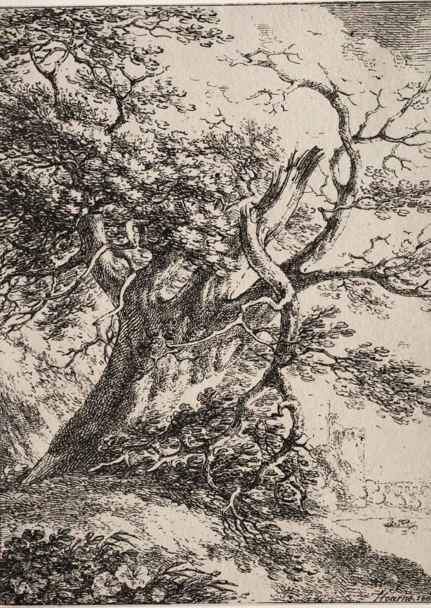 Specimens of Polyautography:  Landscape with an Oak Tree by Thomas Hearne (British, 1744–1817)