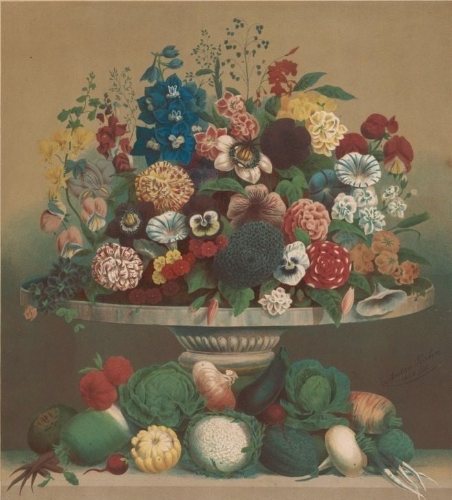 Flowers and Vegetables by Anton Carl Rahn (American, born Germany, 1842–1907)