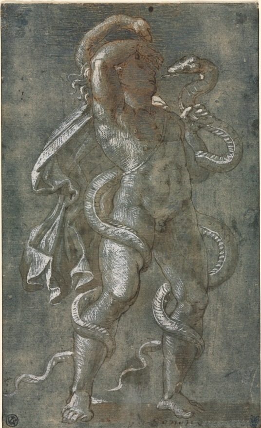 Man Entwined by Two Snakes by Giovanni Antonio da Pordenone (Italian, 1483/84–1539)