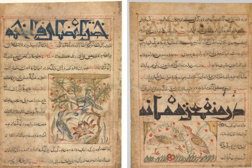 Qualities of Ringdoves (recto); On the Benefits of Quails (verso), from a Persian Manafi‘ al-Hayawan (The Benefits of Animals) of Abu Said Ubaid-Allah ibn Jibrail ibn Bakhtishu (died 1058–68)