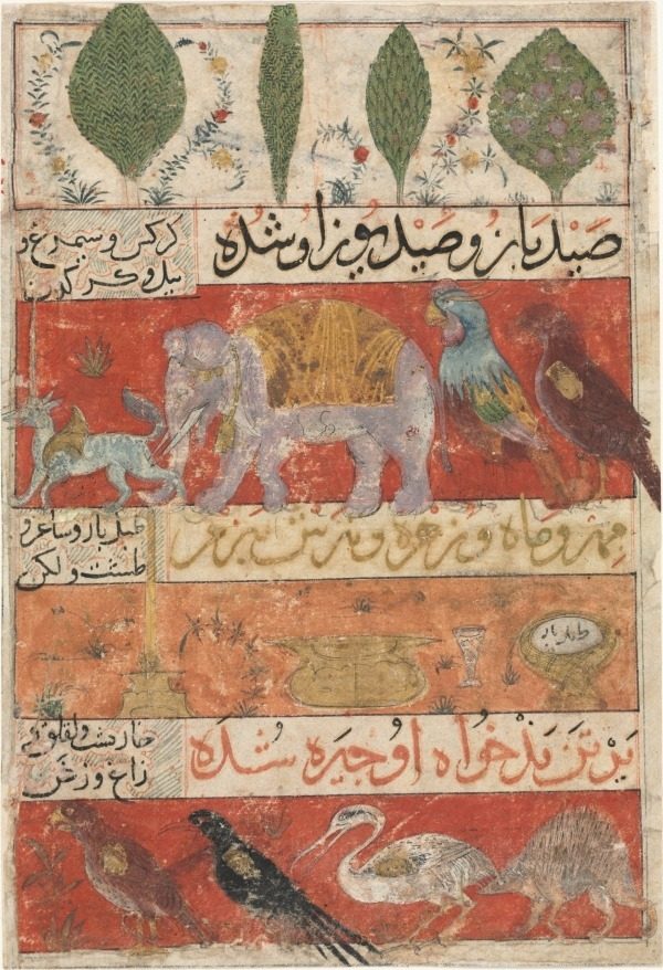 Animals, Birds, and Plants (verso) from a Mu'nis al-Ahrar fi Daqa'iq al-Ash'ar (The Free Men's Companion to the Subtleties of Poems) of Muhammad Ibn Badr al-Din Jajarmi (active 1340s)
