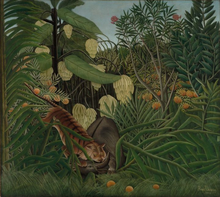 Fight Between a Tiger and a Buffalo by Henri Rousseau (French, 1844–1910)