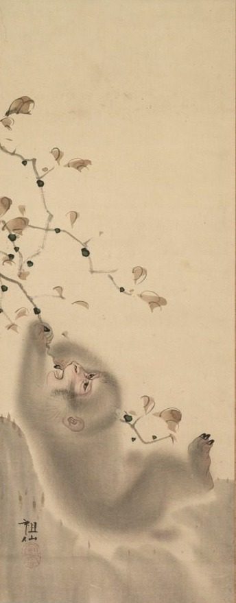Monkey Hanging on to a Branch by Mori Sosen (Japanese, 1747–1821)
