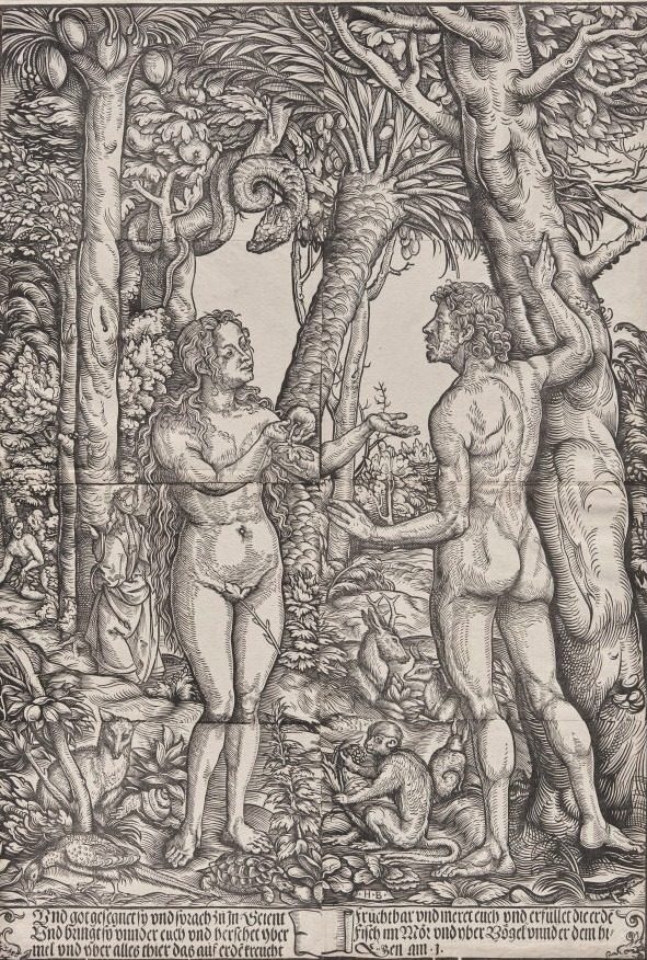 The Fall of Adam and Eve by Hans Burgkmair (German, 1473–1531)