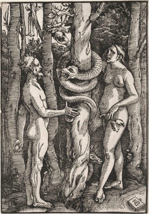 Adam and Eve by Hans Baldung (German, 1484/85–1545)