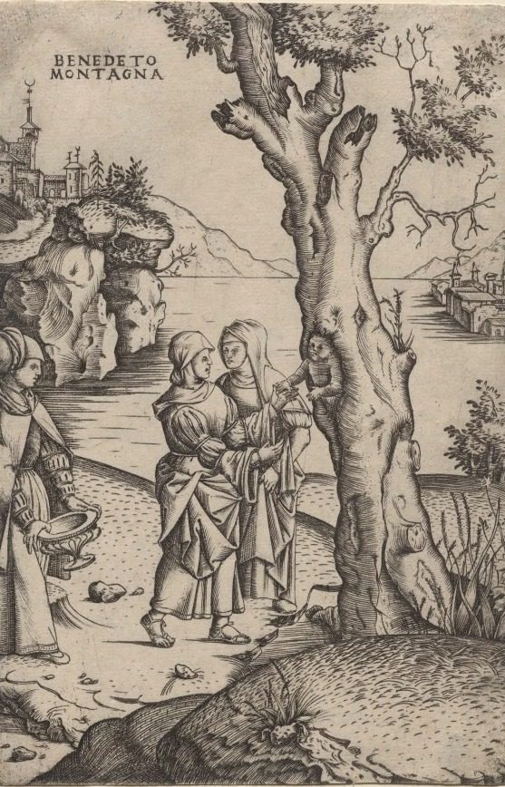 Birth of Adonis by Benedetto Montagna (Italian, c. 1481–1555/58)