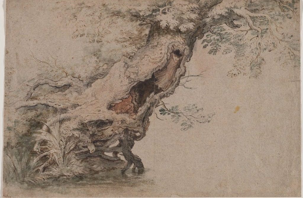 Hollow Tree, after Roelant Savery by Lambert Doomer (Dutch, 1623–1700)