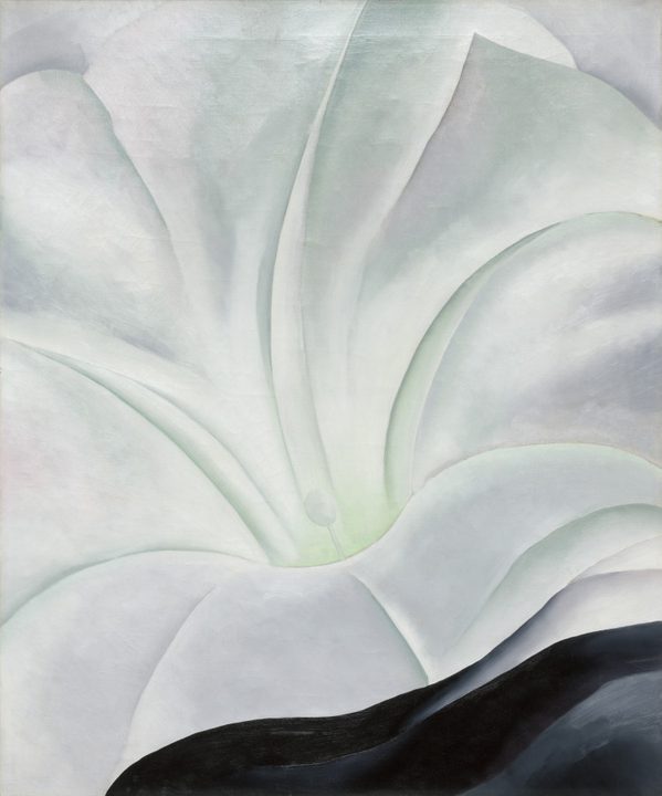 Morning Glory with Black by Georgia O'Keeffe (American, 1887–1986)