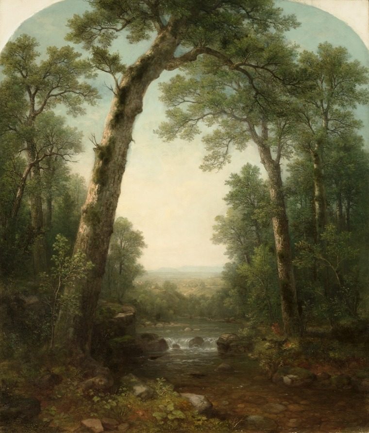 Forest Stream with Vista by Asher B. Durand (American, 1796–1886)
