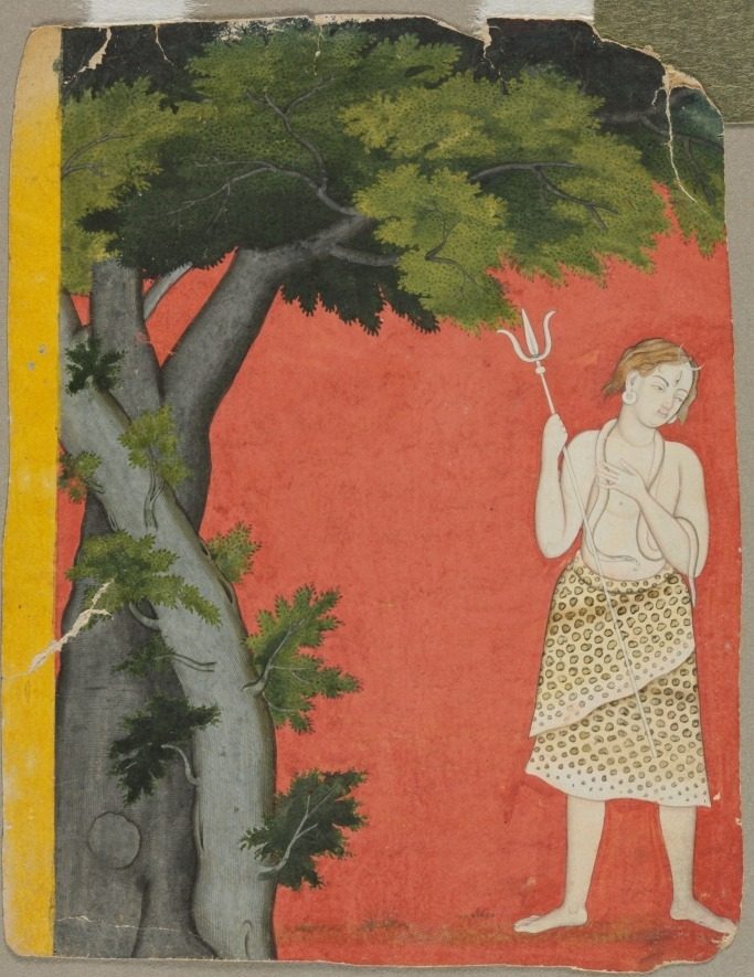 Shiva under trees