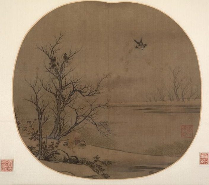 Birds and Ducks on a Snowy Islet