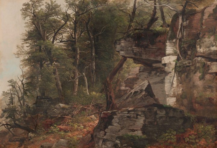 Trees on a Rocky Hillside by Asher B. Durand (American, 1796–1886)