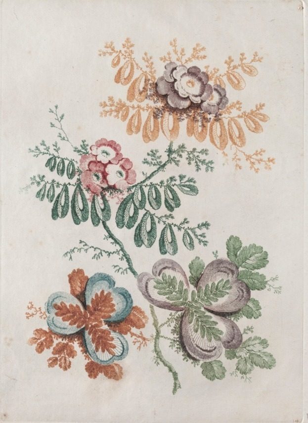 New Suite of Portfolios of Flowers Ideal to Use for Designing and Painting: Floral Fantasies by Anne Allen (British)