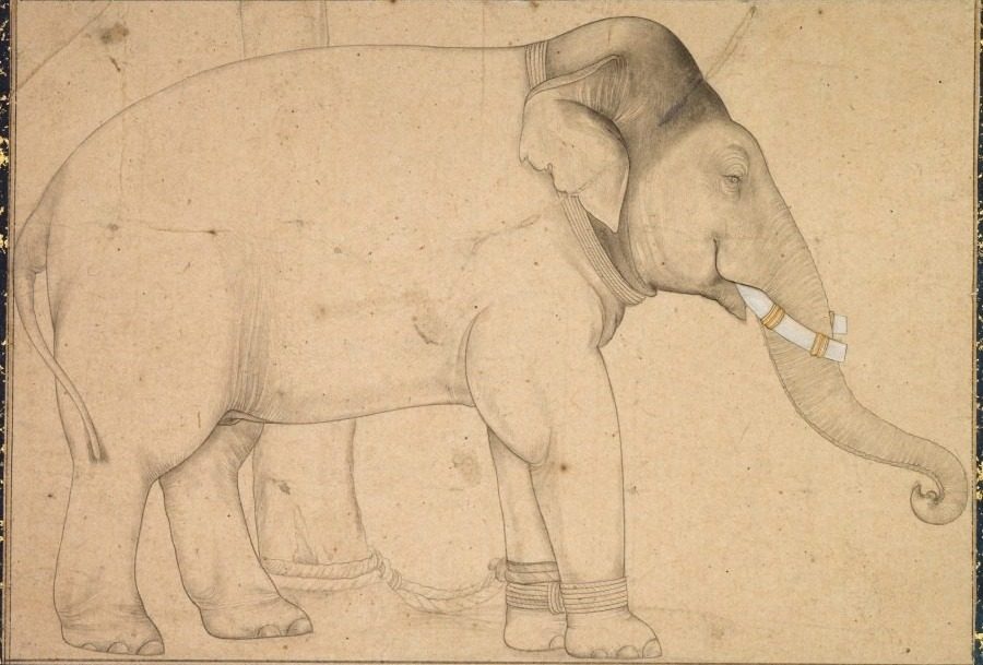 Drawing of an Elephant
