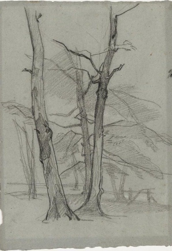 Landscape Study with Trees by Thomas Couture (French, 1815–1879)