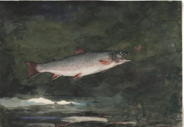 Leaping Trout by Winslow Homer (American, 1836–1910)