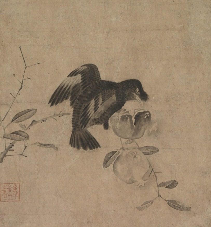 Crow on a Pomegranate
