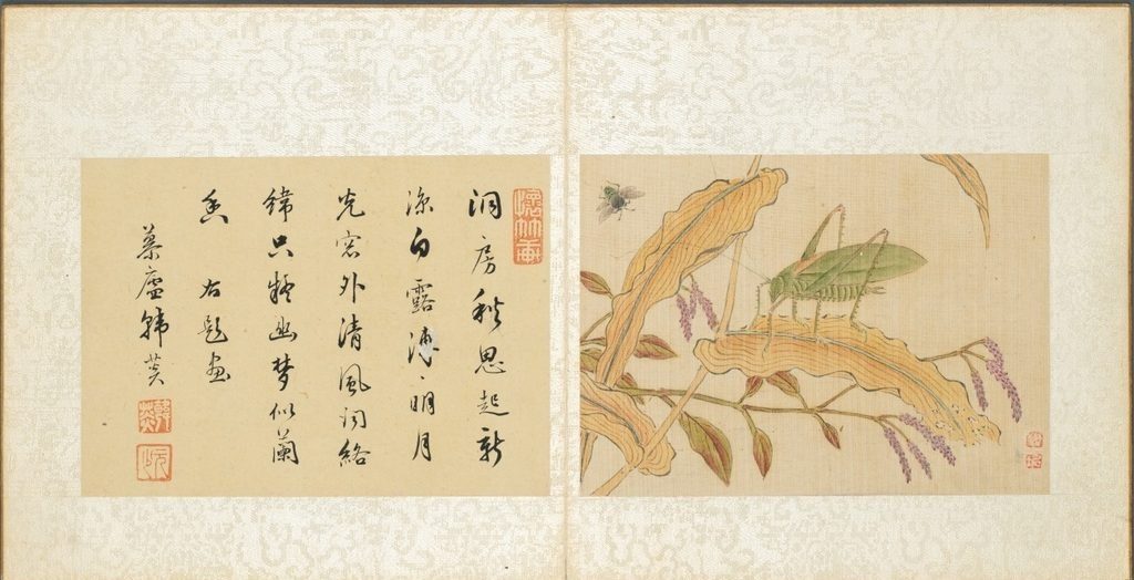 Album of Miscellaneous Subjects, Leaf 7 by Fan Qi (Chinese, 1616–after 1694)