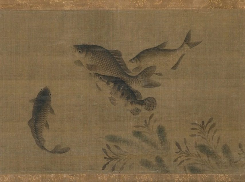 Fish