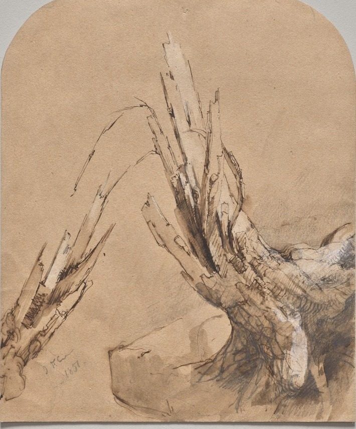 A Blasted Tree (recto) by Jasper F. Cropsey (American, 1823–1900)
