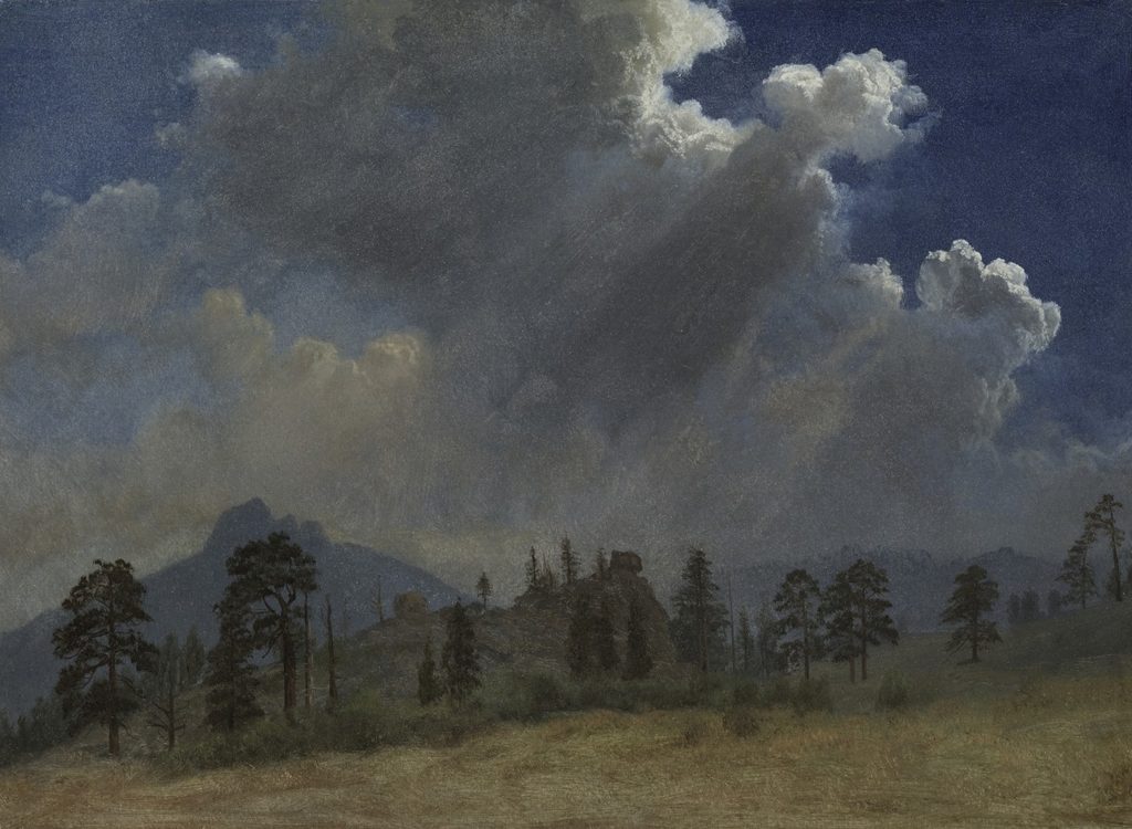 Fir Trees and Storm Clouds by Albert Bierstadt (American, born Prussia [now Germany], 1830–1902)