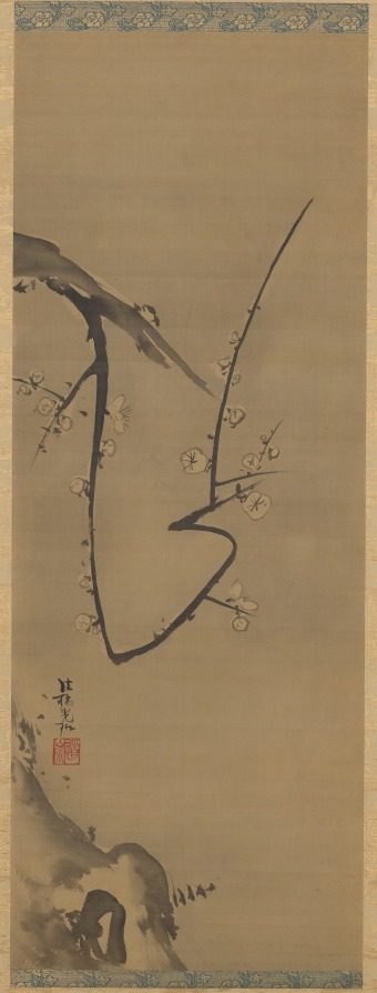 Plum Tree by Ogata Kōrin (Japanese, 1658–1716)