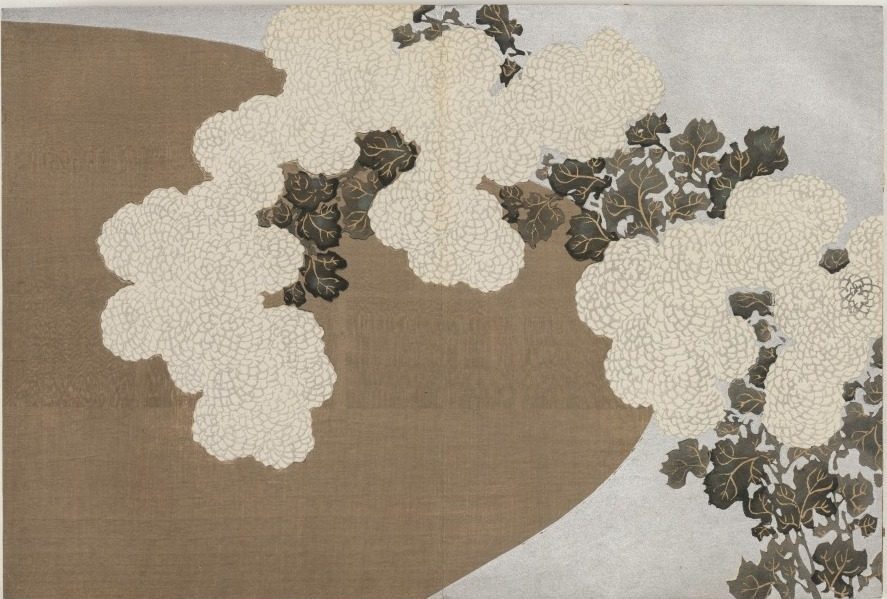 Flowers of a Hundred Worlds (Momoyogusa): Chrysanthemums (Momoyogusa) by Kamisaka Sekka (Japanese, 1866–1942)