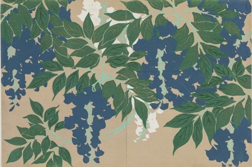 Flowers of a Hundred Worlds (Momoyogusa): Wisteria (Fuji) by Kamisaka Sekka (Japanese, 1866–1942)
