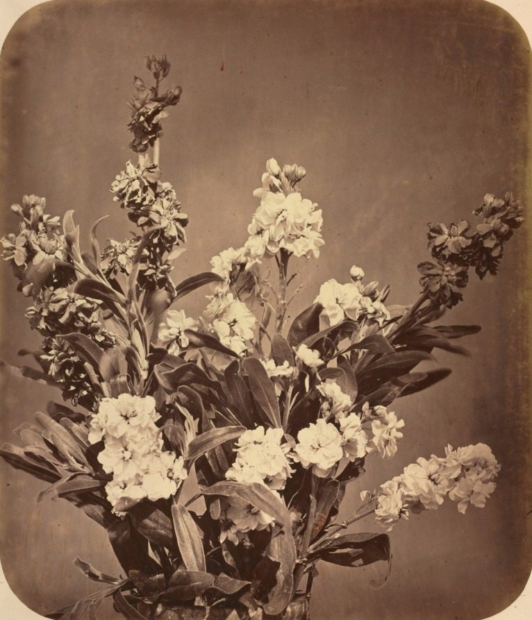 Bouquet by Adolphe Braun (French, 1812–1877)