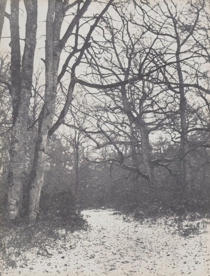 Road in the Forest by Eugène Cuvelier (French, 1837–1900)