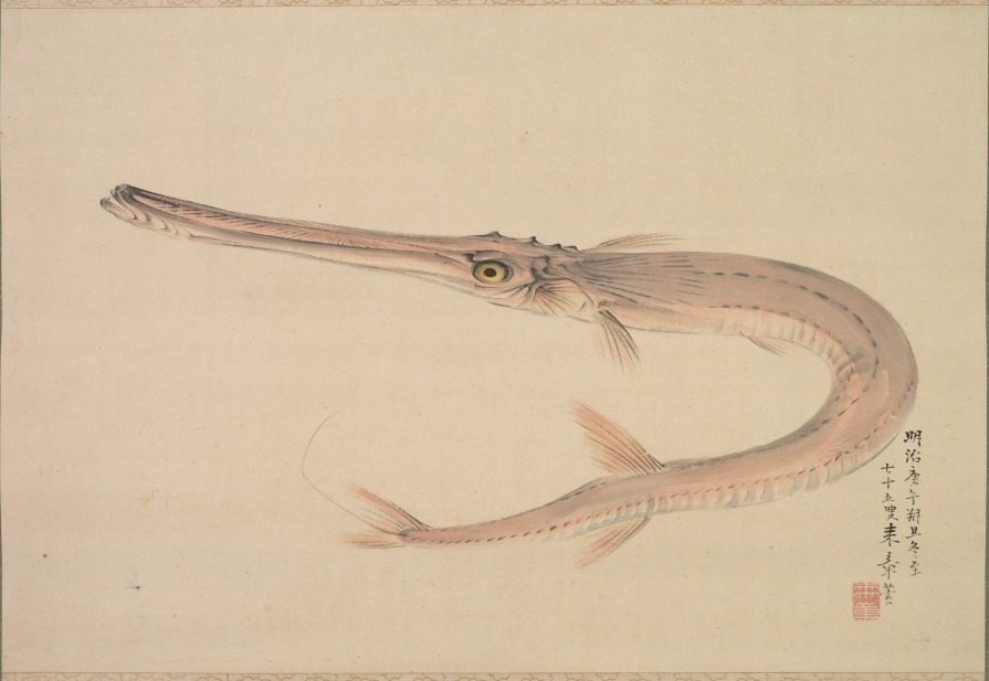 Needlefish (Yagara) by Nakajima Raishō (Japanese, 1796–1871)