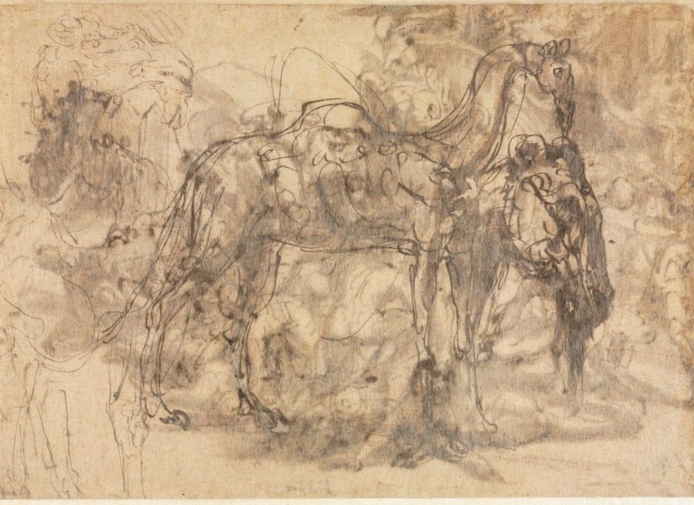 Sketches of Animals (verso) by Perino del Vaga (Italian, 1501–1547)