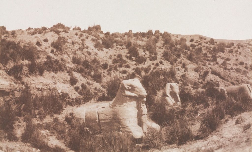 Sphinxes with a Human Head and with a Ram Head at Point Y. Karnak (Thebes) by Félix Teynard (French, 1817–1892)