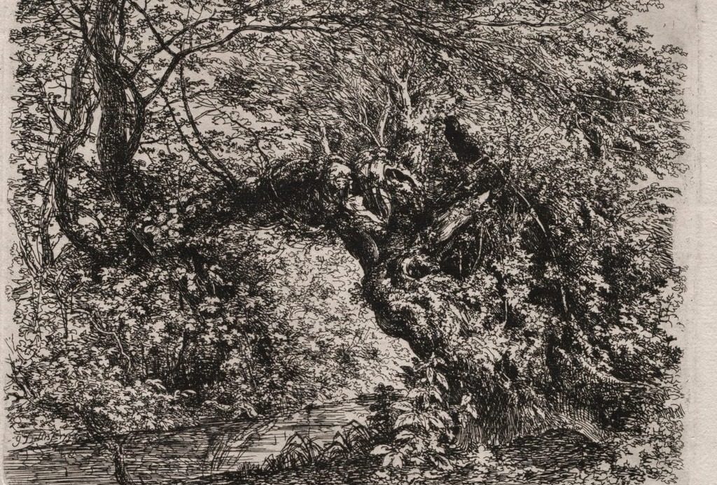 The Old Willow at a Brook by Georg von Dillis (German, 1759–1841)