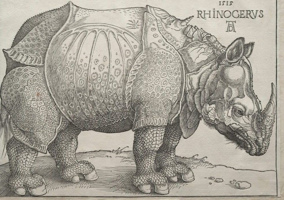 The Rhinoceros by Albrecht Dürer (German, 1471–1528)