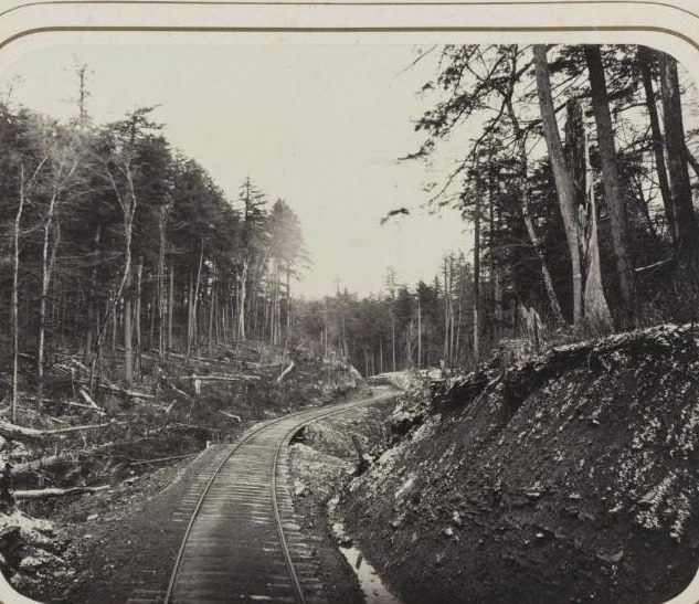 Untitled by James Fitzallen Ryder (American, 1826–1904)