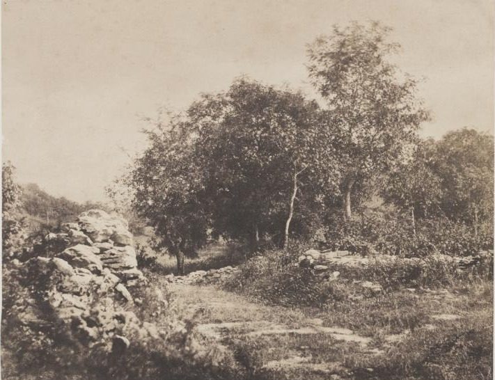 Untitled (Scene of Fontainebleau) by André Giroux (French, 1801–1879)