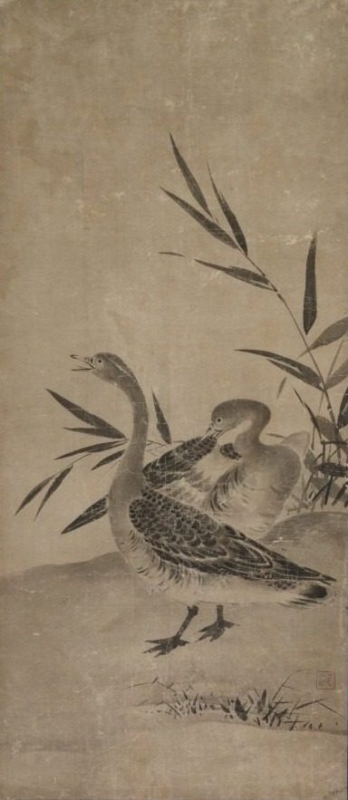 Geese