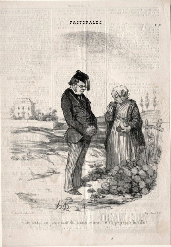 How strange.... I had planted potatoes, and here I am harvesting truffles! by Honoré Daumier (French, 1808–1879)
