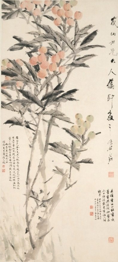 Pipa (Loquats) by Xugu (Chinese, 1823–1896)