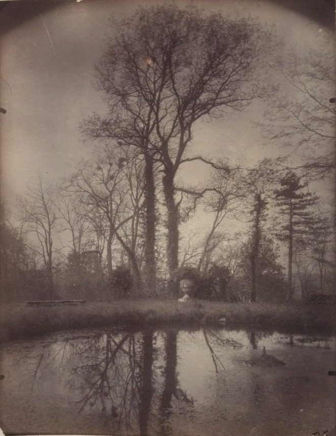 The Park at Sceaux [April 1925, 7a.m.] by Eugène Atget (French, 1857–1927)