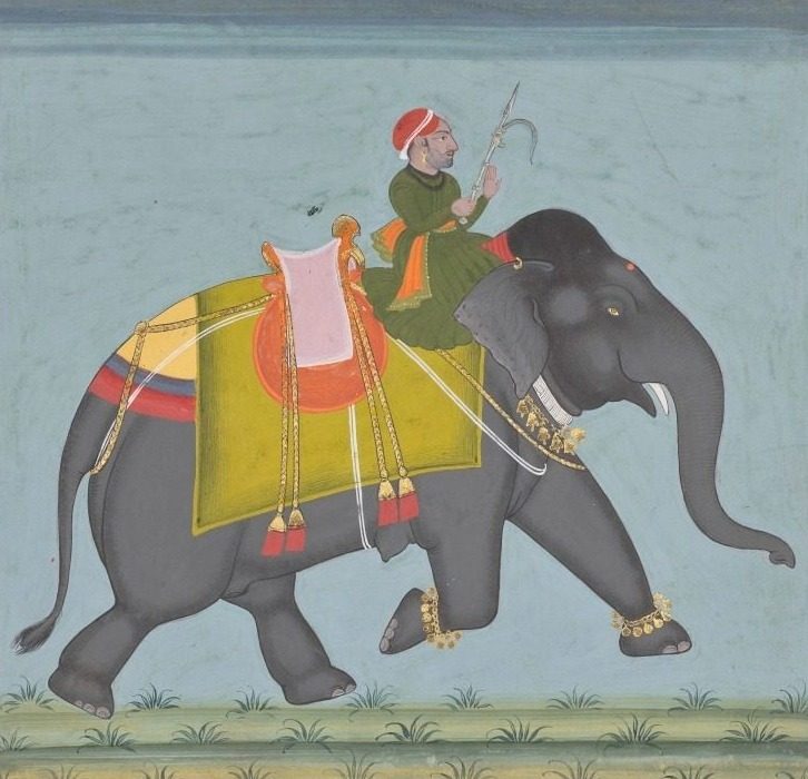 Royal Elephant Ramkali with a Mahout