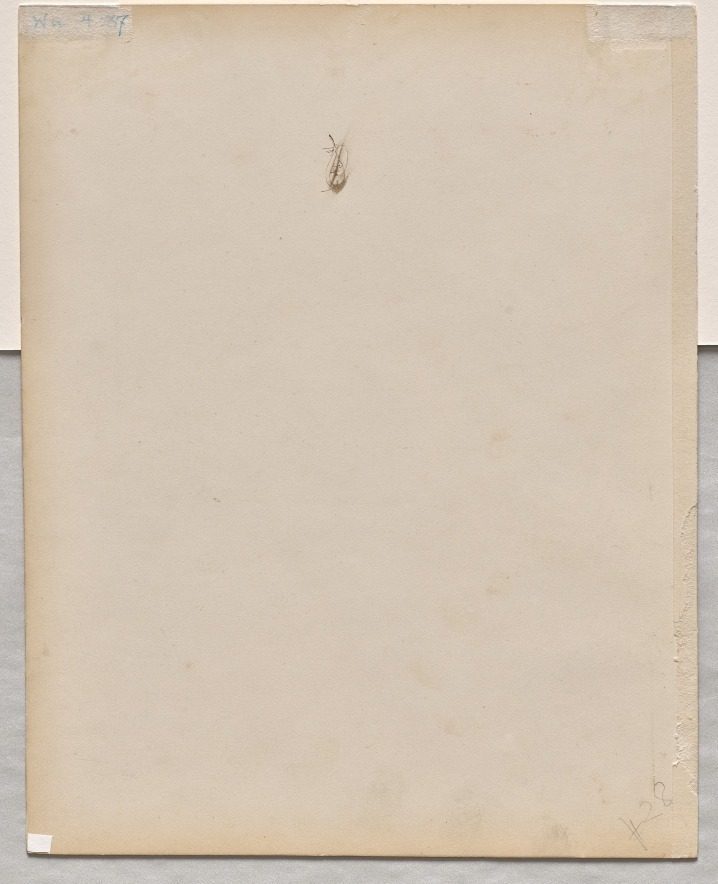Face in Profile (verso) by Paul Baudry (French, 1828–1886)