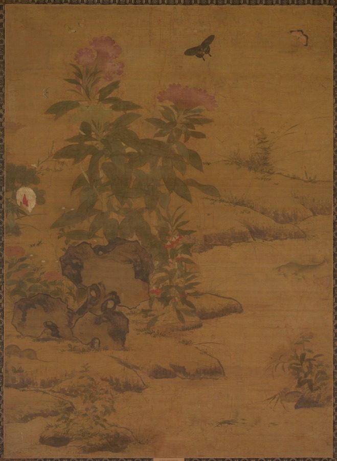 Plants and Insects