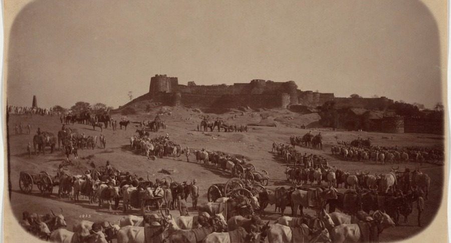 Elephant Battery, Jhansi by Raja Deen Dayal (Indian, 1844–1905)