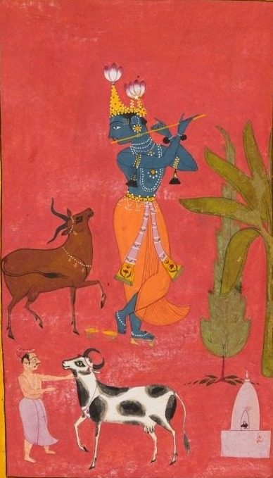 Krishna Fluting