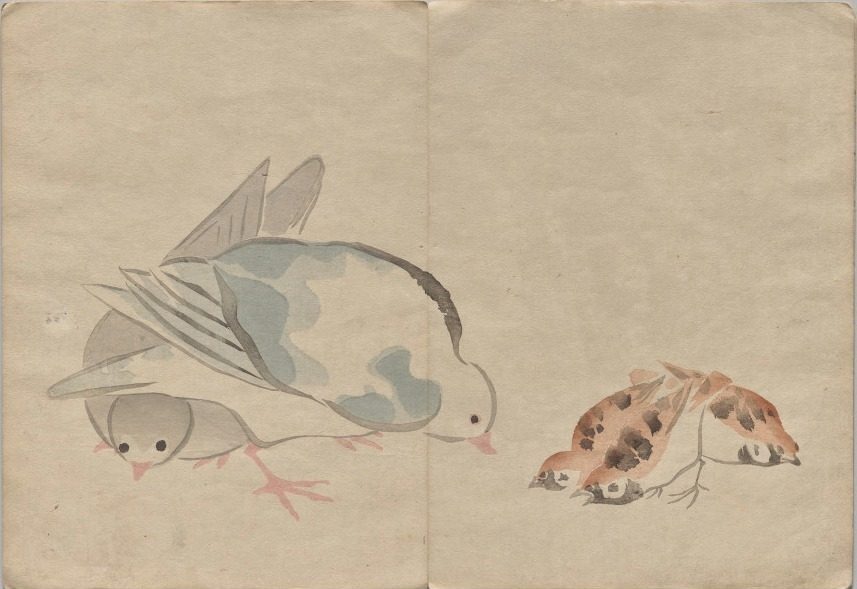Scene from The Kōrin Picture Book (Volume 1) by Nakamura Hōchū (Japanese, d. 1819)